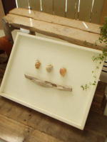 ネイチャーアートフレーム